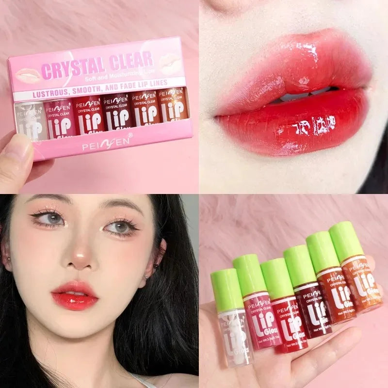 6PCS Moisturising Hydrating Plumping Lip Gloss