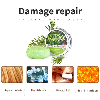 Tea tree Essential Oil Plant Shampoo Bar