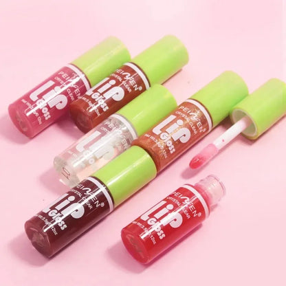 6PCS Moisturising Hydrating Plumping Lip Gloss