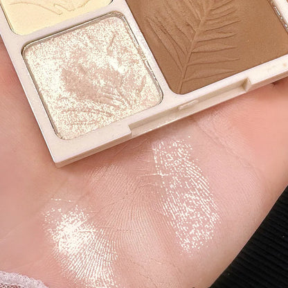 Highlighter and Contour Palette