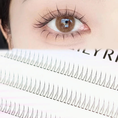 J Curl V Shape Black Korean Eyelashes