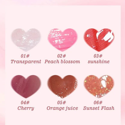 6PCS Moisturising Hydrating Plumping Lip Gloss