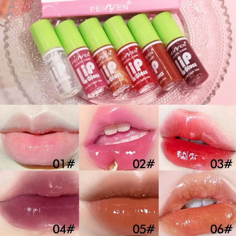 6PCS Moisturising Hydrating Plumping Lip Gloss