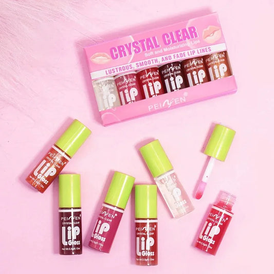 6PCS Moisturising Hydrating Plumping Lip Gloss